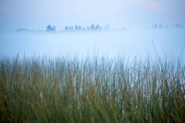 Sunrise Northern Lake Saskatchewan Kanada — Stockfoto