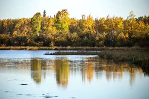 Otoño Norte Saskatchewan Silvestre Prestine Paisaje Rural — Foto de Stock