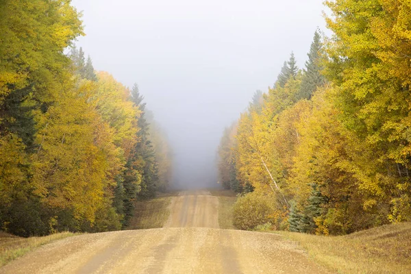 Outono Norte Saskatchewan Deserto Prestine Rural Cênica — Fotografia de Stock