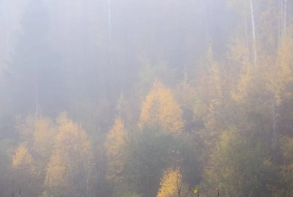 Hösten Norra Saskatchewan Vildmark Prestine Landsbygden — Stockfoto