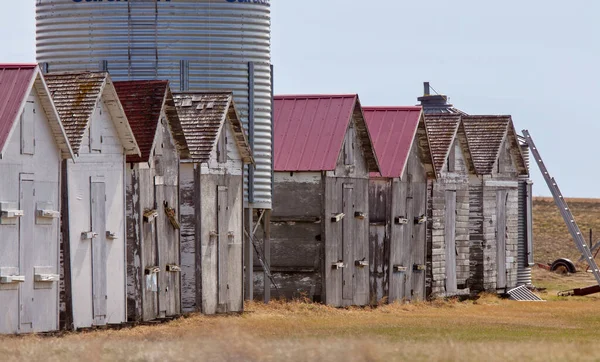 Delapitated Abandone Buildings Prärie Saskatchewan Kanada Alt — Stockfoto