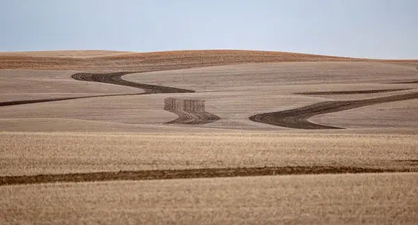 Design Field Saskatchewan Tavaszi Termény Tarló Panoráma — Stock Fotó