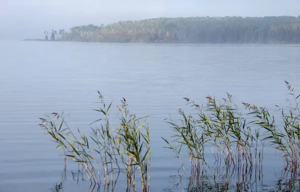 Matahari Terbit Danau Utara Saskatchewan Pemandangan Kanada — Stok Foto