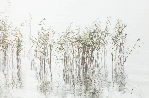 Wschód Słońca Northern Lake Saskatchewan Kanada Malownicze — Zdjęcie stockowe