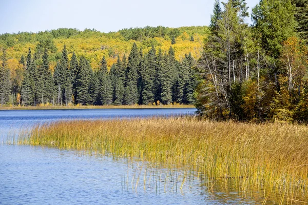 Jesień Północny Saskatchewan Dzicz Prestine Krajobraz Wiejski — Zdjęcie stockowe