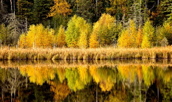 Ősz Észak Saskatchewan Vadon Rangos Vidéki Festői — Stock Fotó