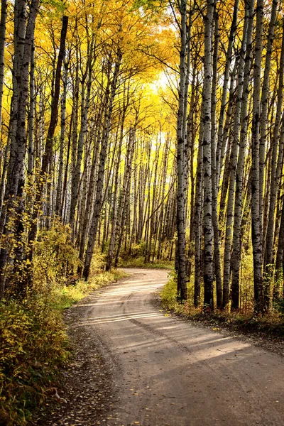 Autumn Northern Saskatchewan Wilderness Prestine Rural Scenic — Stock Photo, Image