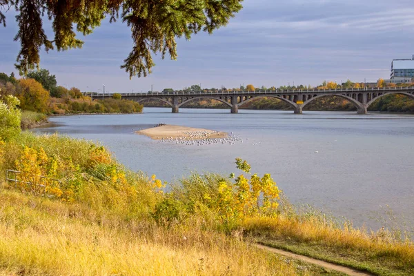 Norra Saskatchewan Floden Saskatoon — Stockfoto