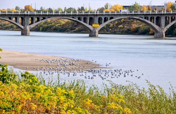 Río Saskatchewan Norte Saskatoon — Foto de Stock