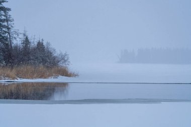 Prens Albert Park Winter