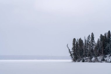 Prens Albert Park Winter