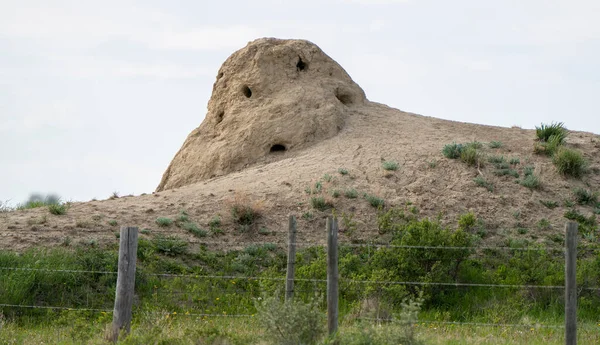 Fuchs Oder Kojote Der Prärie Saskatchewan Kanada — Stockfoto