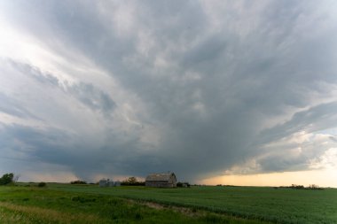 Saskatchewan Yaz Bulutları 'nda Kanada Çayırı Fırtınası