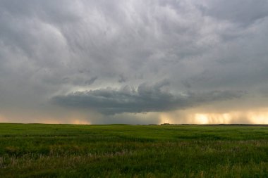 Saskatchewan Yaz Bulutları 'nda Kanada Çayırı Fırtınası