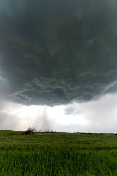 Prairie Storm Canada Саскачеванских Летних Облаках — стоковое фото