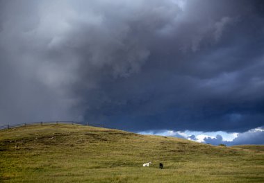 Prairie Storm Canada Yaz zamanı bulutları uyarısı
