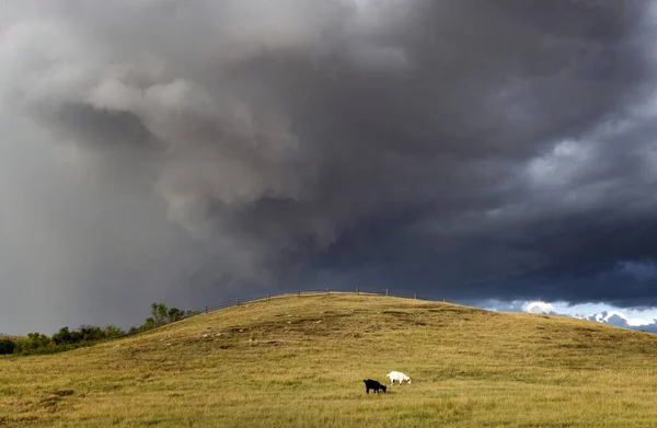 Prairie Storm Canada Avertissement Nuages Heure Été — Photo