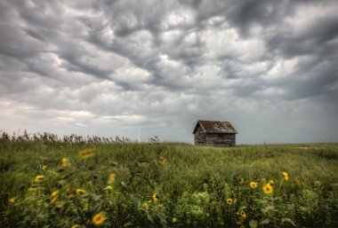 fırtına bulutları saskatchewan