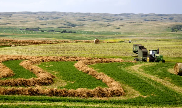 Сільське господарство Саскачеван — стокове фото