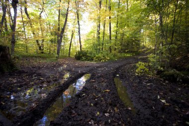 Sonbaharda çamurlu yol