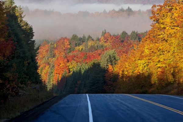 Осенние цвета и дорога — стоковое фото