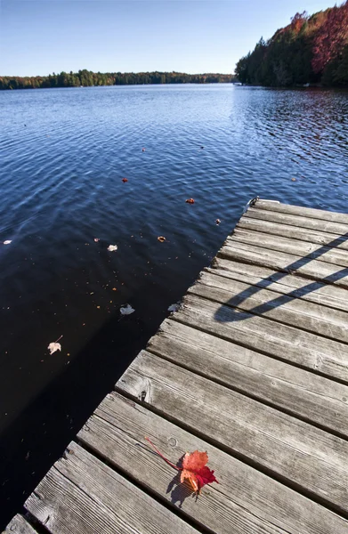 Lago en otoño —  Fotos de Stock