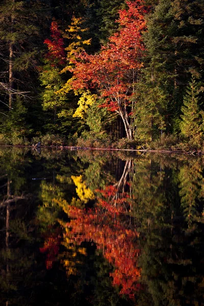 Lac à l'automne reflet du lever du soleil — Photo