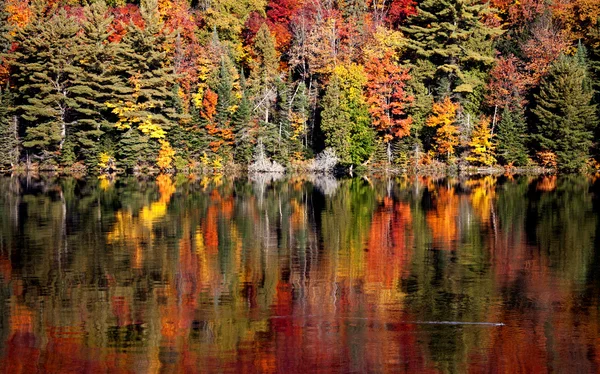 Lago en otoño — Foto de Stock