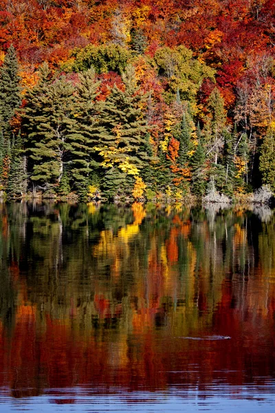 Lac en automne — Photo