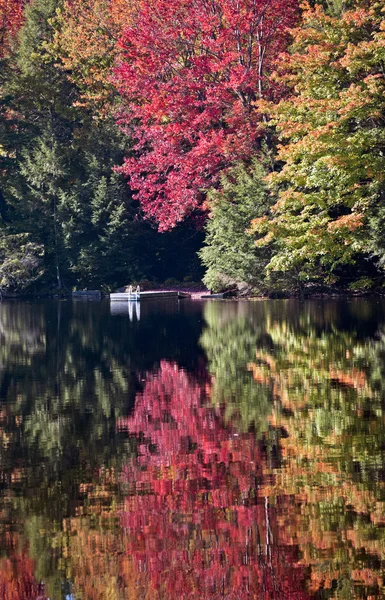 Sjön på hösten — Stockfoto