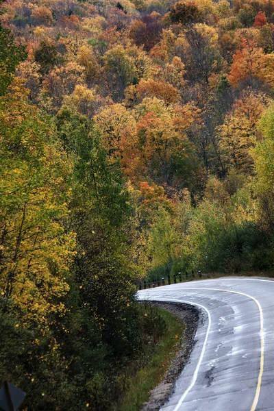 Otoño Colores y carretera —  Fotos de Stock