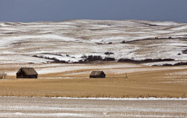 Çayır manzara kış — Stok fotoğraf