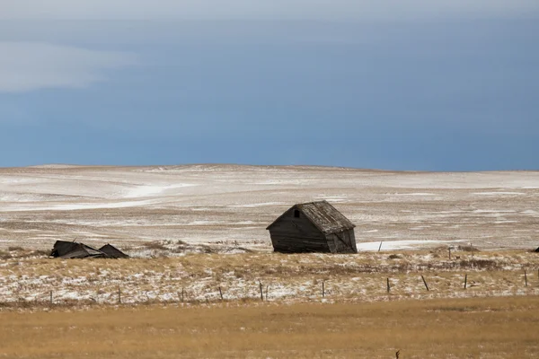 Prärien landskap på vintern — Stockfoto