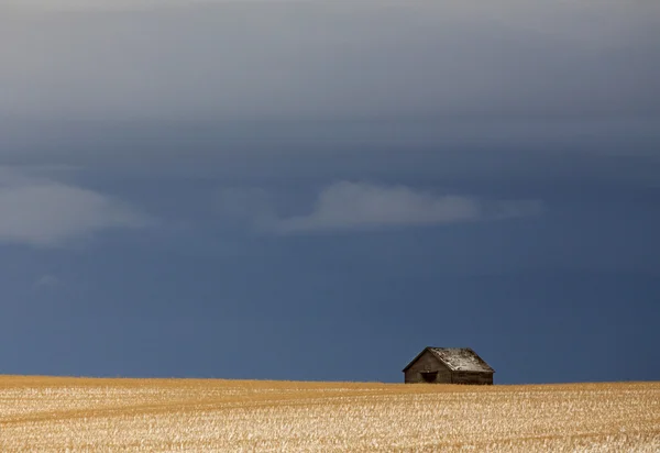 Prairie táj télen — Stock Fotó