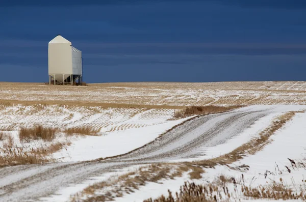 冬の大草原の風景 — ストック写真