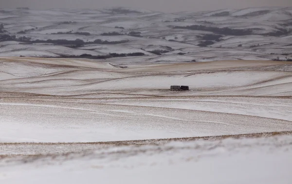 Paesaggio della prateria in inverno — Foto Stock