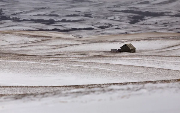 Prairie Landscape in winter — Stock Photo, Image