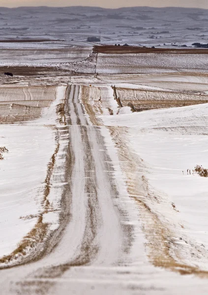 ภูมิทัศน์ Prairie ในฤดูหนาว — ภาพถ่ายสต็อก