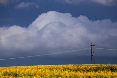 Fırtına bulutları kır gökyüzü
