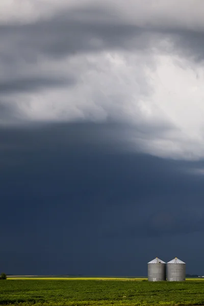 Nuvole di tempesta Prato Cielo — Foto Stock