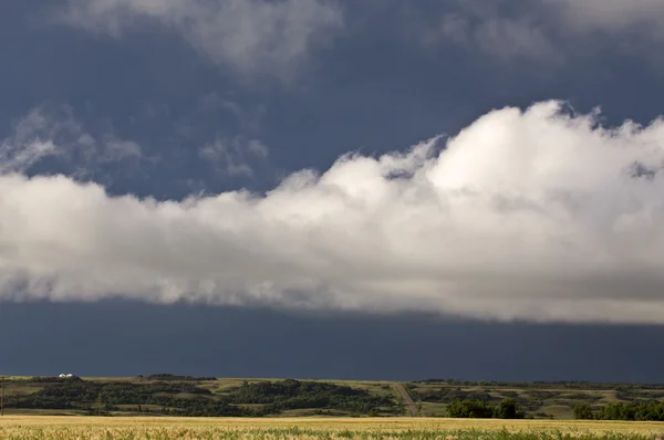 Nubes de tormenta Prairie Sky —  Fotos de Stock