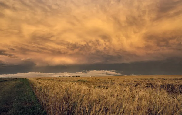 Nuvens de tempestade céu pradaria — Fotografia de Stock