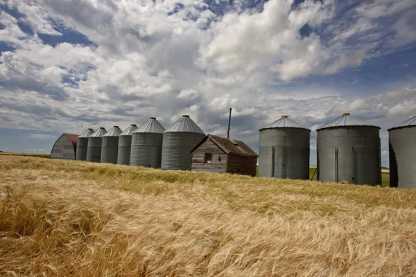 Крыша зернохранилищ — стоковое фото