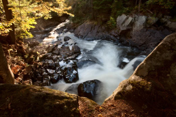 Algonquin πάρκο Muskoka Οντάριο καταρράκτη — Φωτογραφία Αρχείου