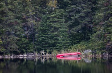 Algonquin Park Muskoka Ontario kırmızı Kano