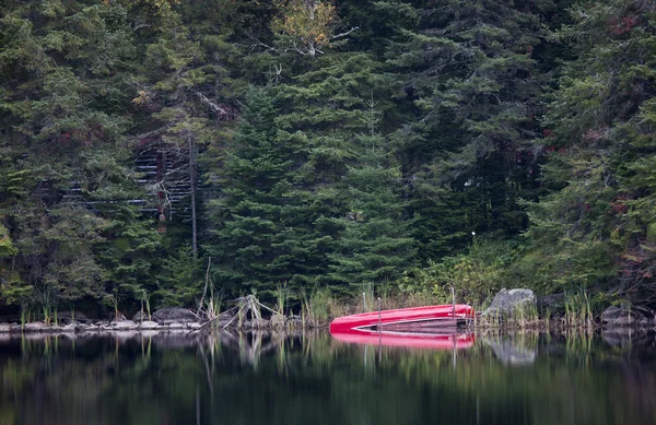 Algonquin Park Muskoka Ontario canoa rossa — Foto Stock