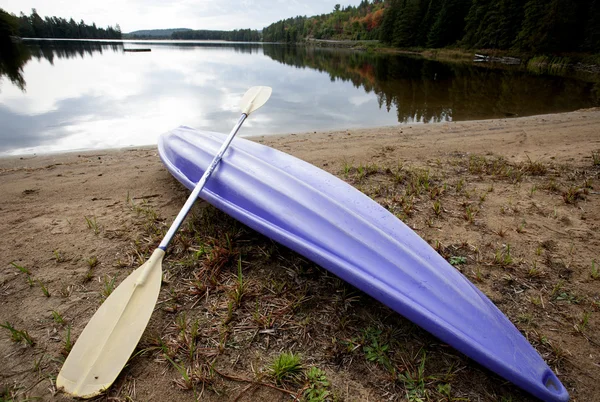 Algonquin Park Muskoka Ontario sjön vildmark — Stockfoto