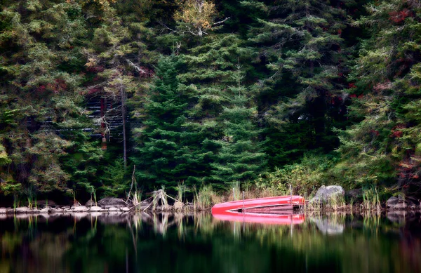 Algonquin Park Muskoka Ontario czerwony Canoe — Zdjęcie stockowe