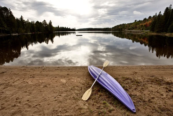 Algonquin Park Muskoka Ontario tó vadonban — Stock Fotó
