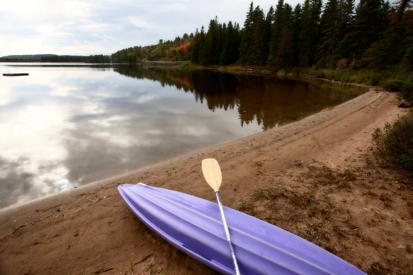 Algonquin Park Muskoka Ontario Lake Wilderness — Stock Photo, Image